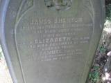 image of grave number 739529